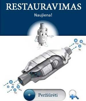 Katalizatoriu restauravimas remontas Vilniuje Kaune Klaipėdoje