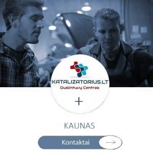 Kas pjauna katalizatorius Kaune?