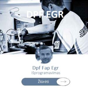 dpf fap isprogramavimas kaune vilniuje klaipėdoje