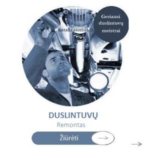 dUSLINTUVU SERVISAS