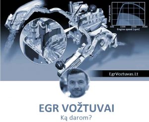 egr voztuvas