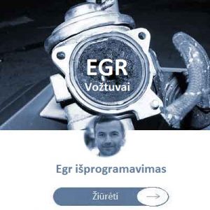 egr voztuvai isprogramavimas isjungimas