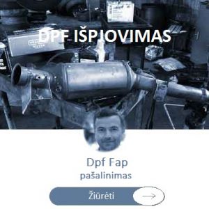 dpf katalizatoriaus ispjovimas pasalinimas