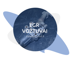 egr-voztuvas-isprogramavimas-plovimas-keitimas-kaina egr-voztuvai-isprogramavimas-keitimas